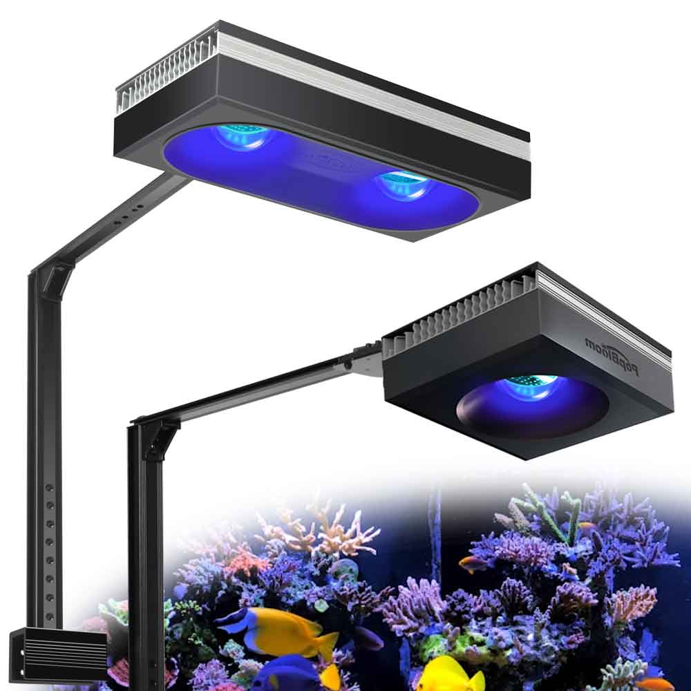 PopBloom RL90/RL180 WiFi Aquar - Marine X Aquarium บทวิจารณ์และราคา
