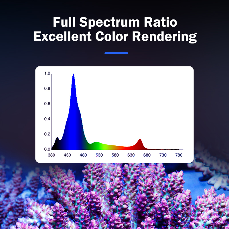 ไฟ LED สำหรับตู้ปลาทะเลแบบ Ful - Marine Aquarium & Regional Centre Photos บทวิจารณ์และราคา