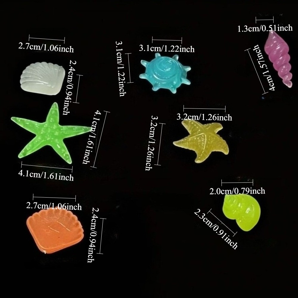 หินเรืองแสงในทะเล เปลือกหอยเรื - Aquarium Marine Fish บทวิจารณ์และราคา