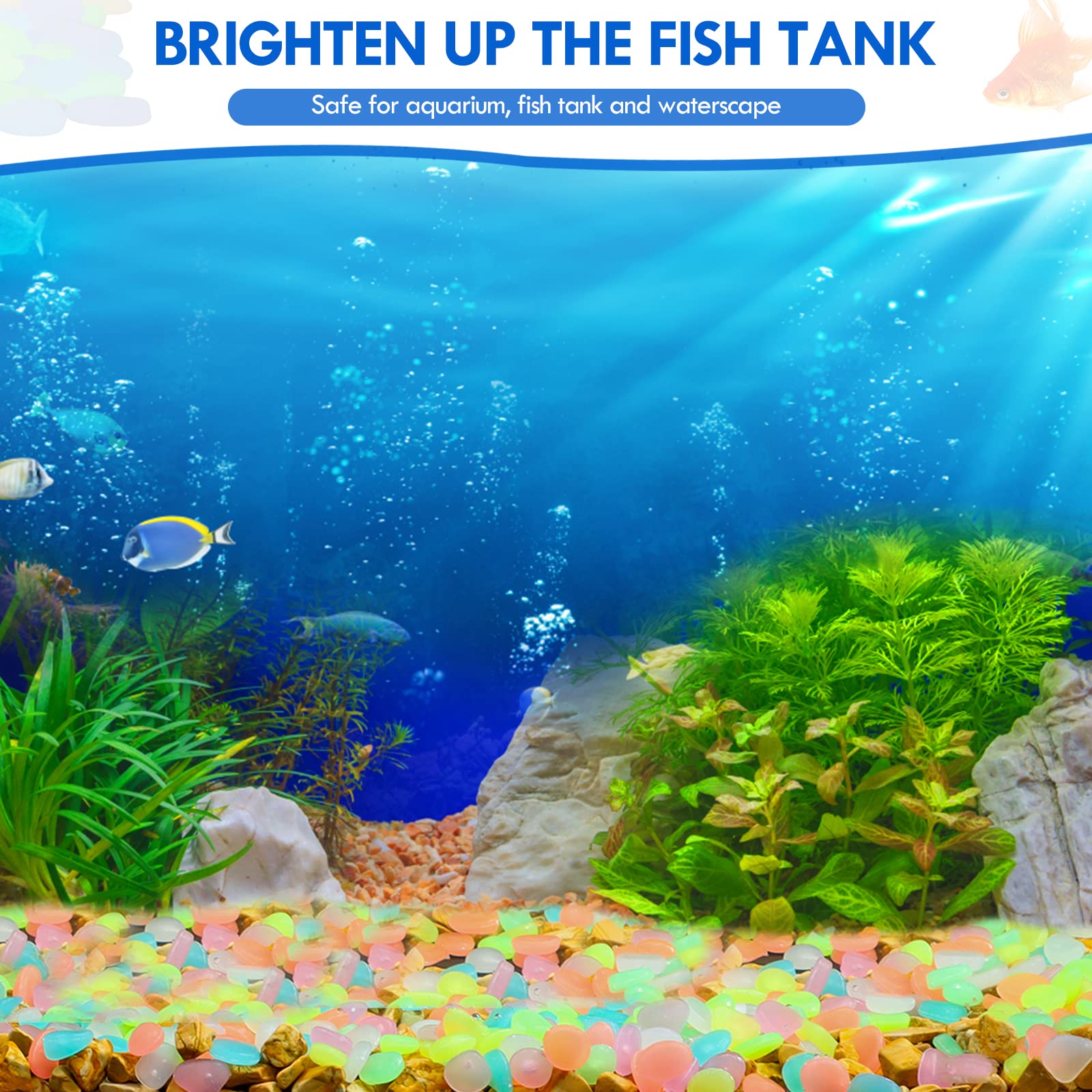100 ชิ้น Glow in the Dark Gard - Aquarium Marine Fish บทวิจารณ์และราคา