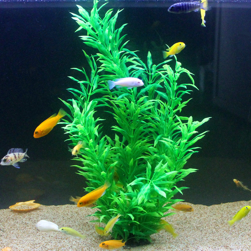 50 ซม.ถังปลาประดิษฐ์พืชหายากAq - Aquarium Marine Fish บทวิจารณ์และราคา