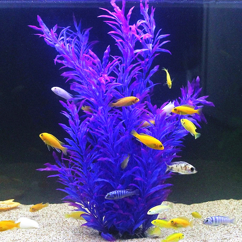 50 ซม.ถังปลาประดิษฐ์พืชหายากAq - Aquarium Marine Fish บทวิจารณ์และราคา
