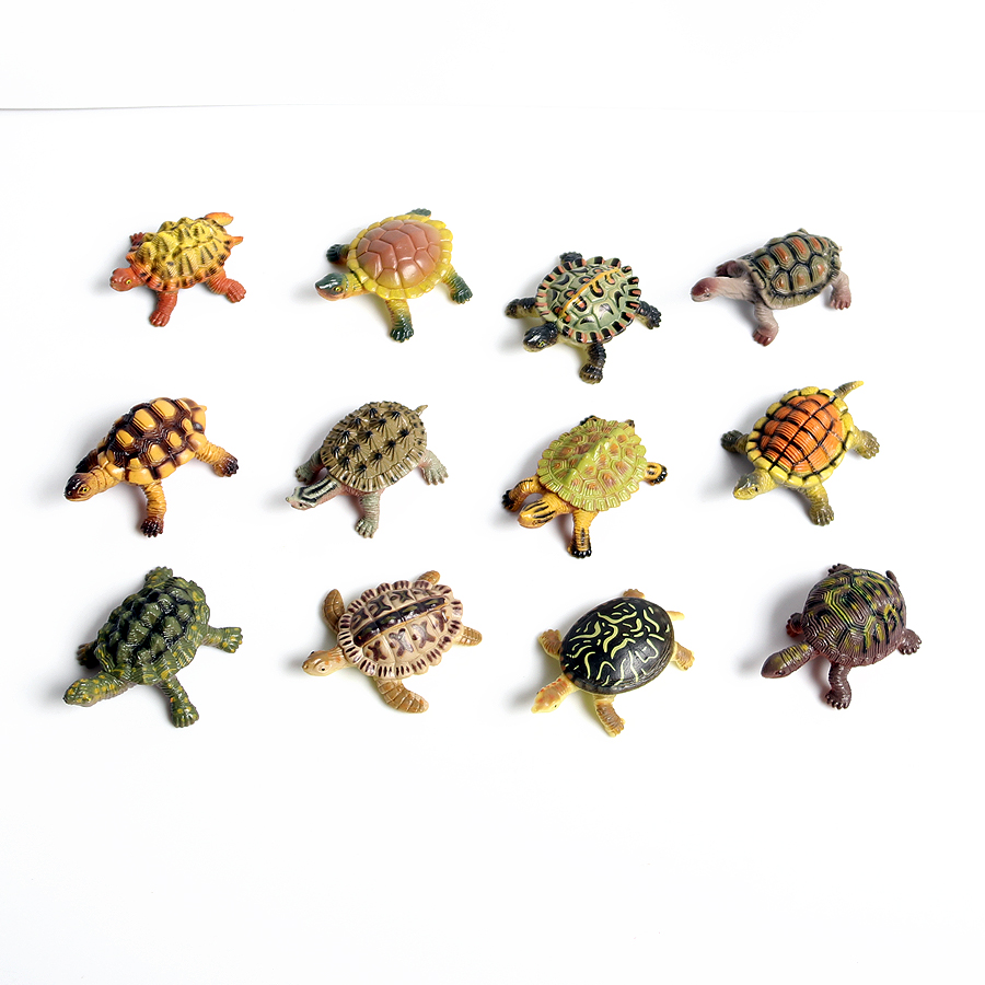 โมเดลเต่าทะเลขนาดเล็กเหมือนจริ - Aquarium Marine Fish บทวิจารณ์และราคา