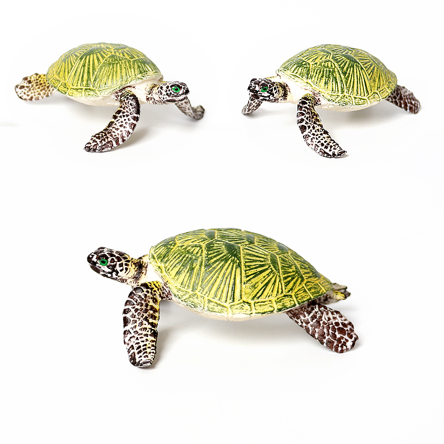 โมเดลเต่าทะเลขนาดเล็กเหมือนจริ - Aquarium Marine Fish บทวิจารณ์และราคา
